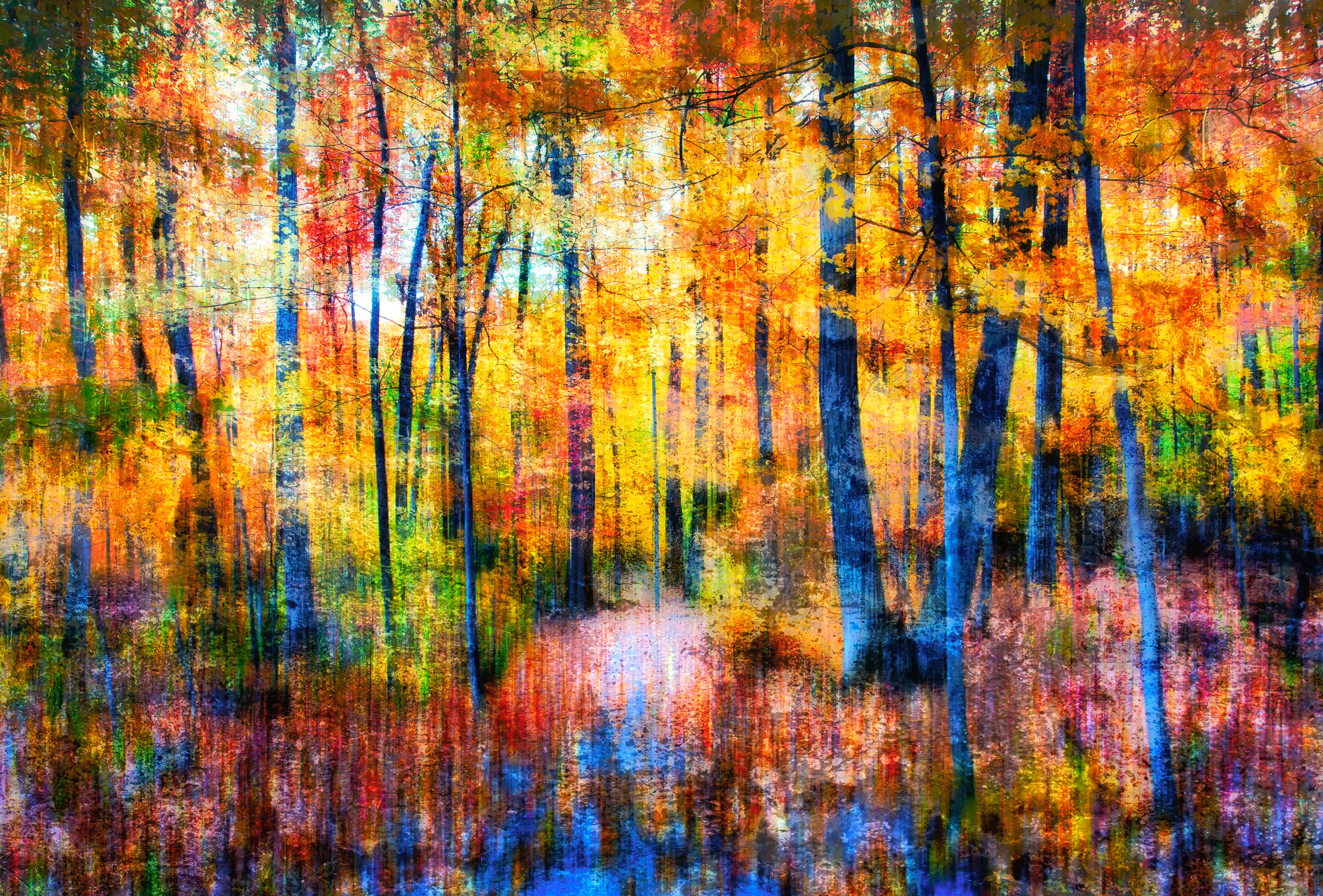 Autumn Afterglow – Abstract Fall Forest Wall Art (Devil's Lake