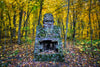 Baxter's Hollow House and Chimney Remains in the Fall
