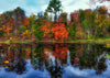 Crystal Clear & Vibrant Fall Reflections