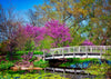 Olbrich Gardens - Springtime with Blooming Flowers and Trees, Madison, Wisconsin
