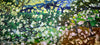 Almond Blossoms - Van Gogh Reimagined