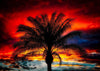 Sunset and Palm Tree, Florida Photograph Bob Hundt Photography 