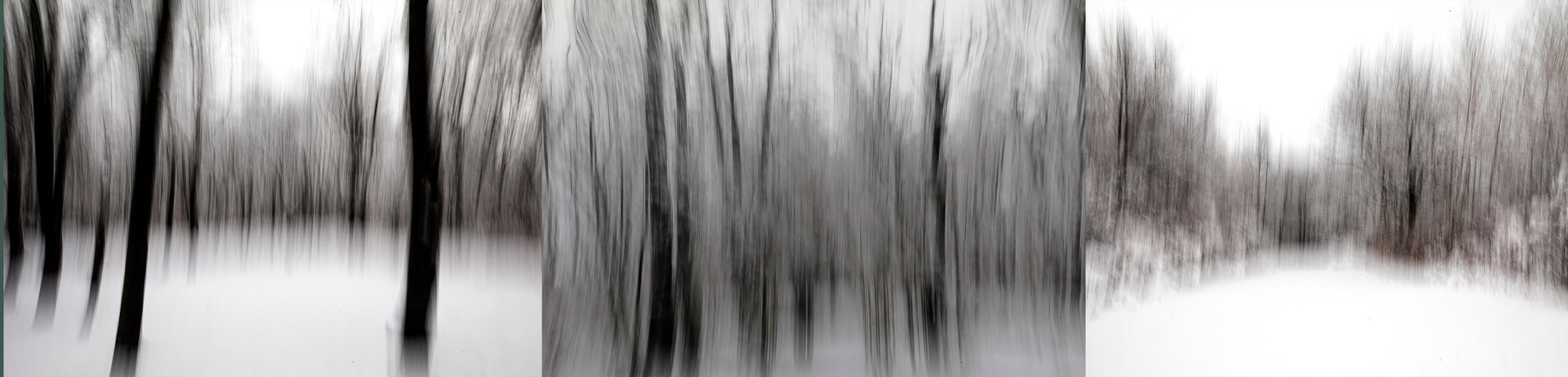 Where the Trees Become Wind