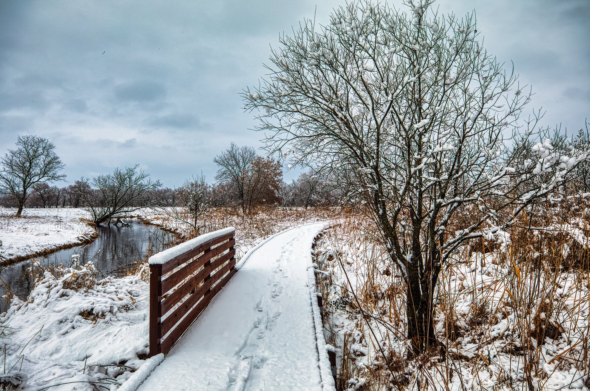 30+ Years of Bob Hundt Photography