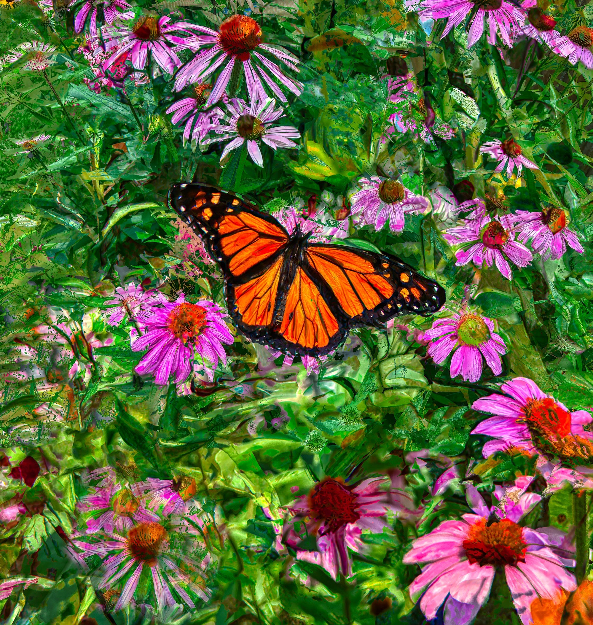 Floral & Botanical Nature Photography Prints