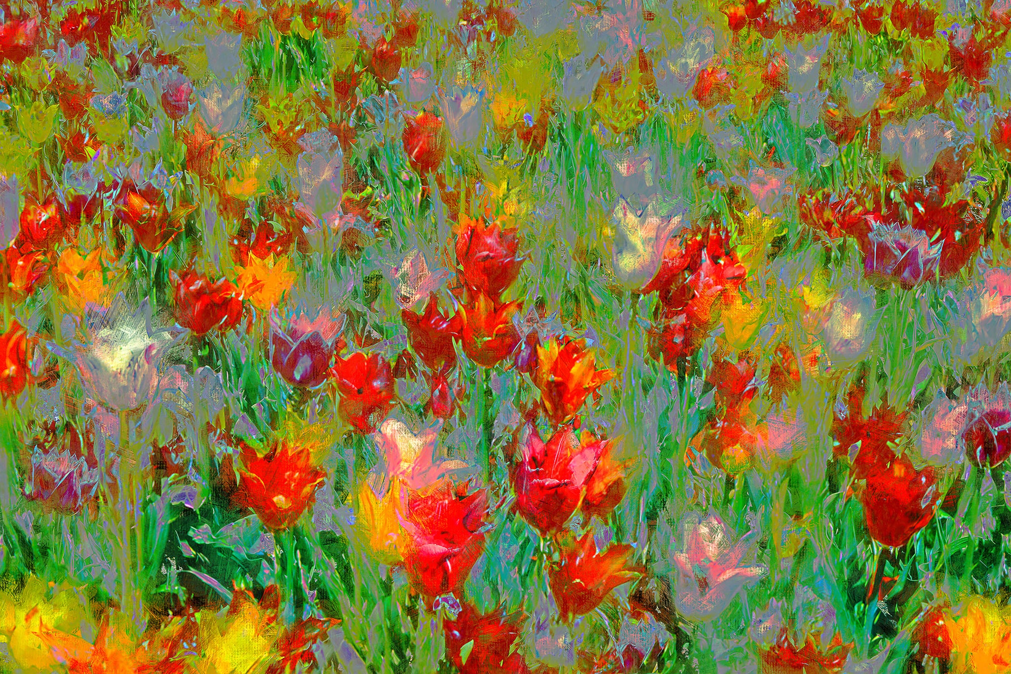 Abstract Tulip Meadow – Vibrant Floral Wall Art Print