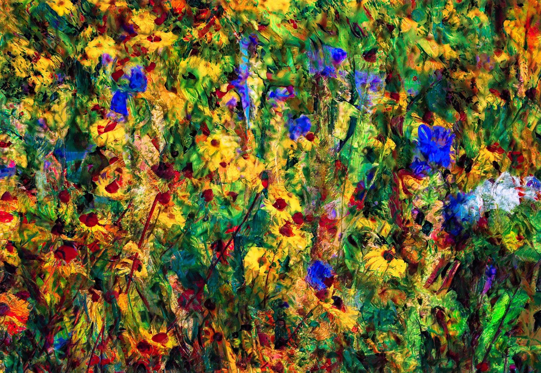 Baraboo Wildflowers | Wisconsin Meadow