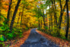 Rustic Road of Fall Foliage in Wisconsin