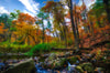 Baxter's Hollow Creek in Autumn, Wisconsin