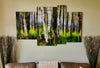 Four Piece Metal Print of Birch trees in Northern Wisconsin. Total image width is 72