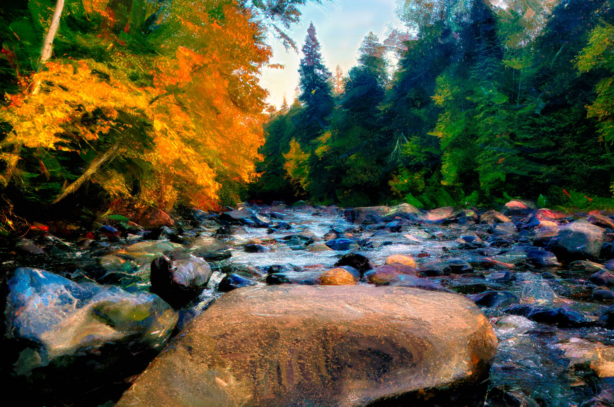 Autumn River Wall Art — Painterly Forest Stream Landscape