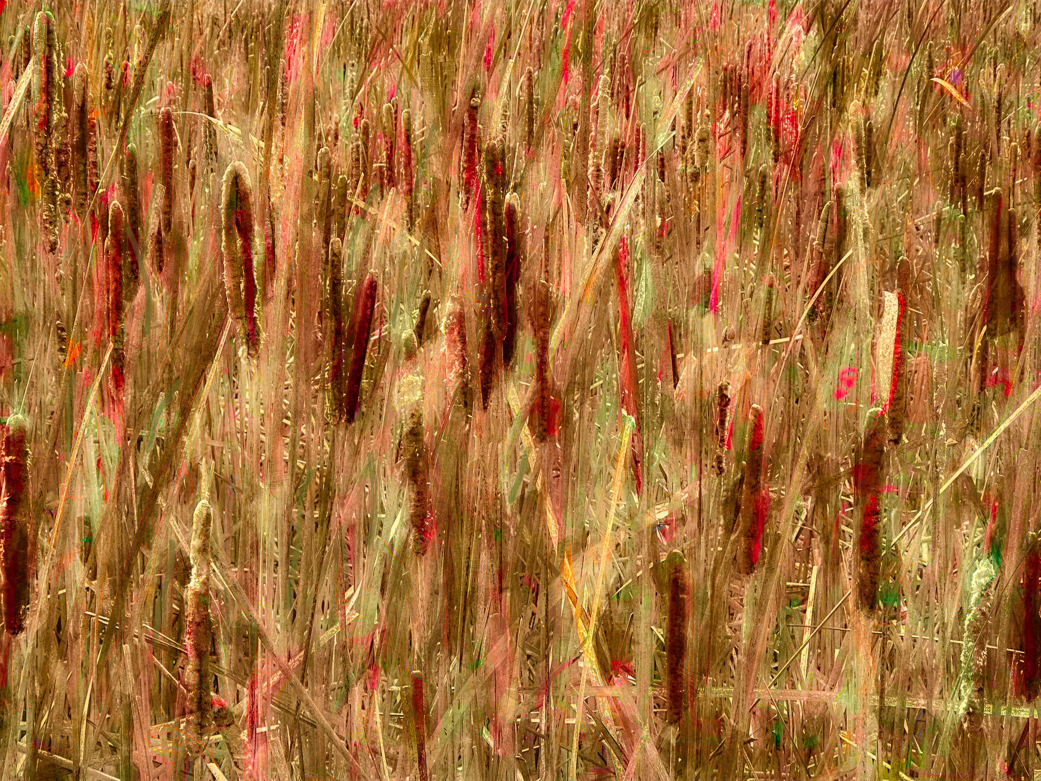 Autumn Cattails Wall Art — Abstract Marsh Botanicals in Warm Neutrals
