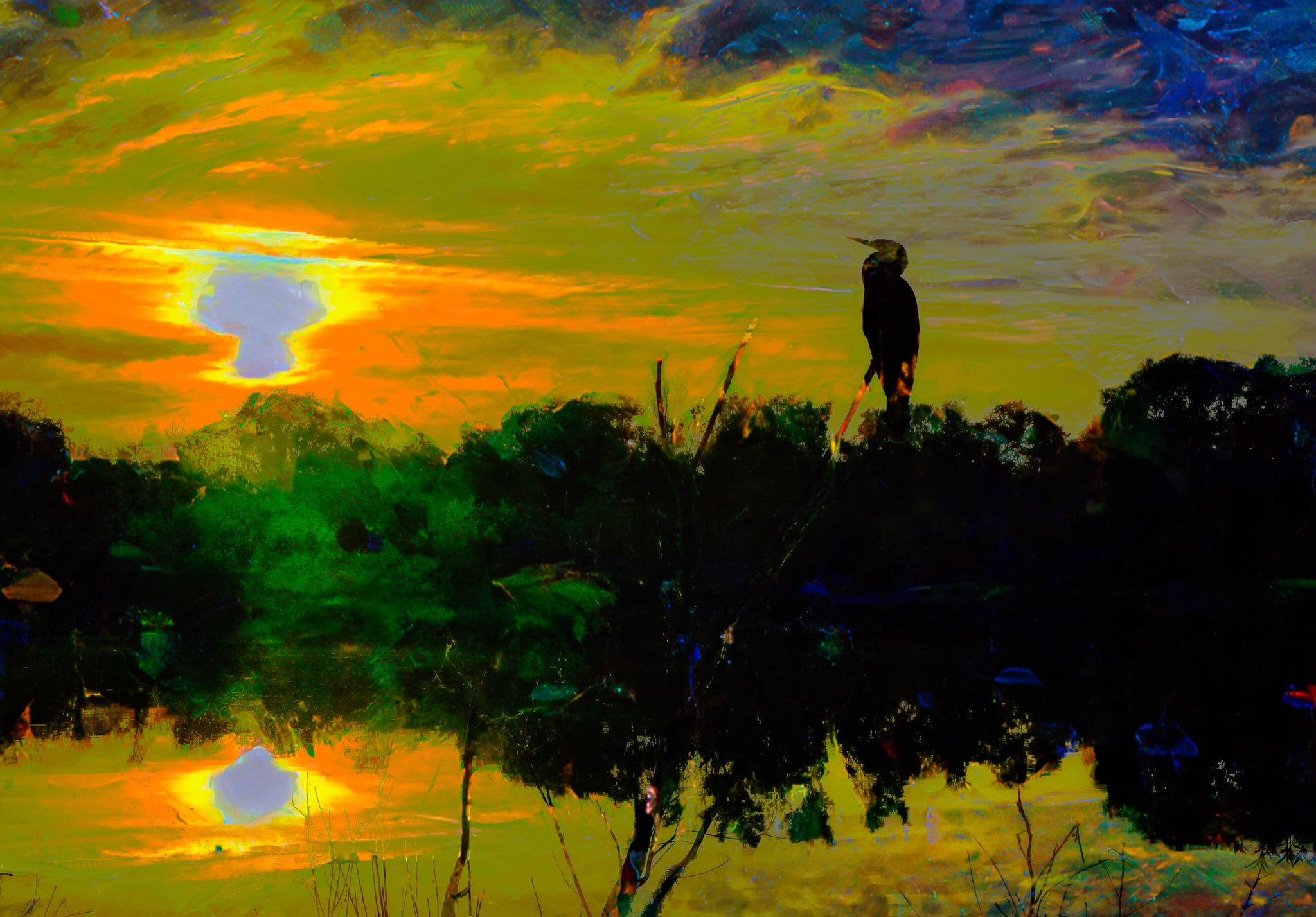 Circle B Ranch Bird Silhouette Wall Art — Florida Sunrise Reflection