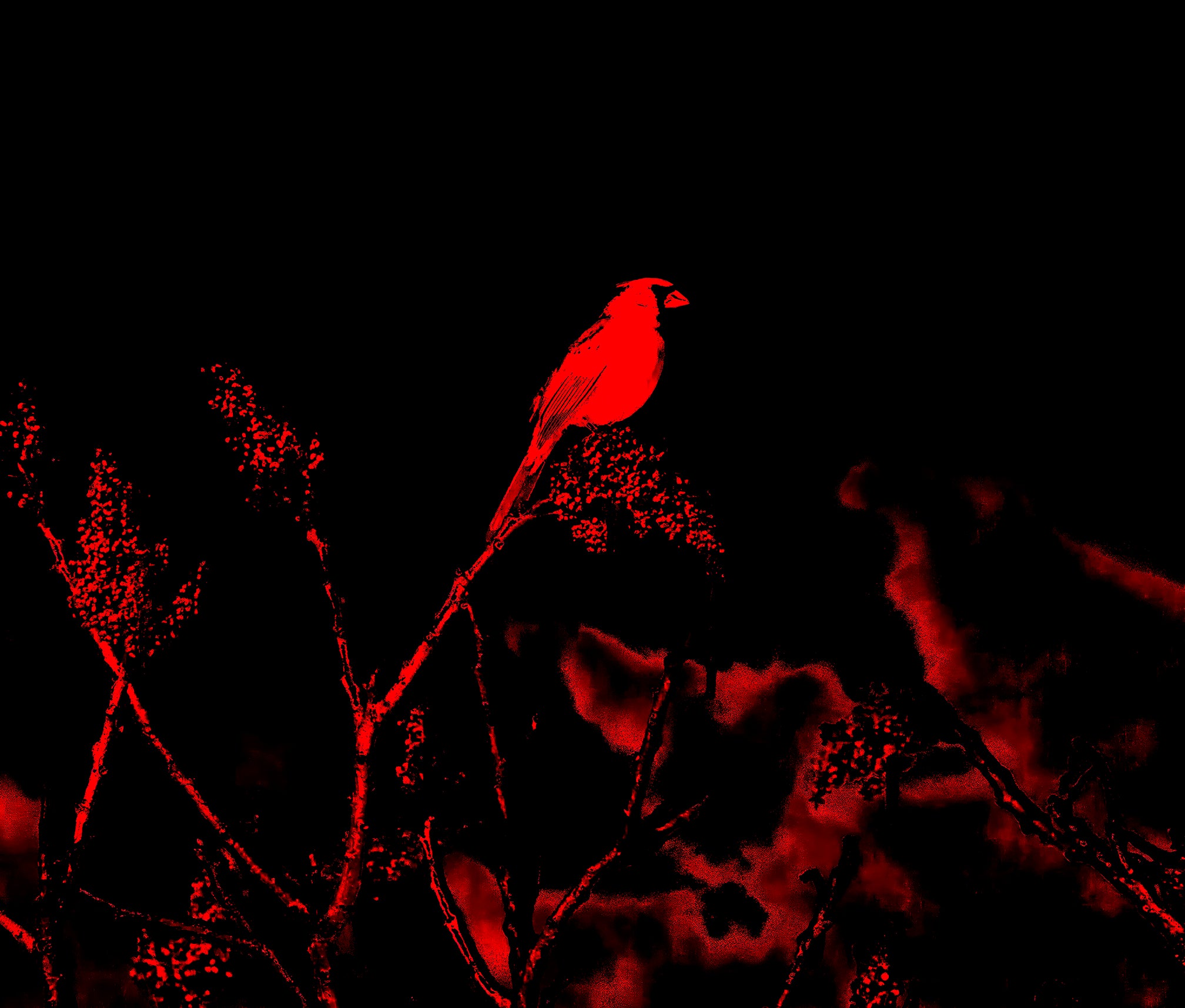Cardinal Wall Art — Modern Bird Photography in Bold Red