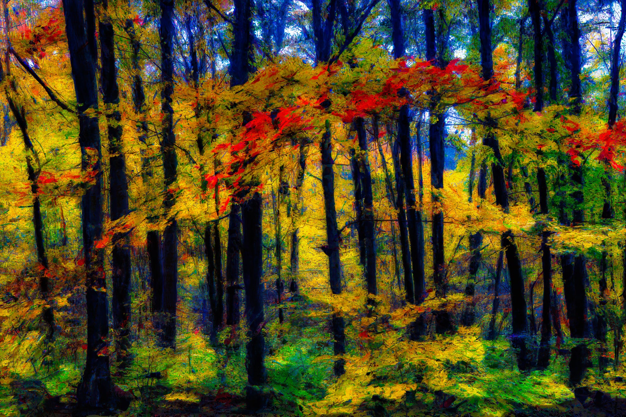 Crimson Canopy — Painterly Autumn Forest