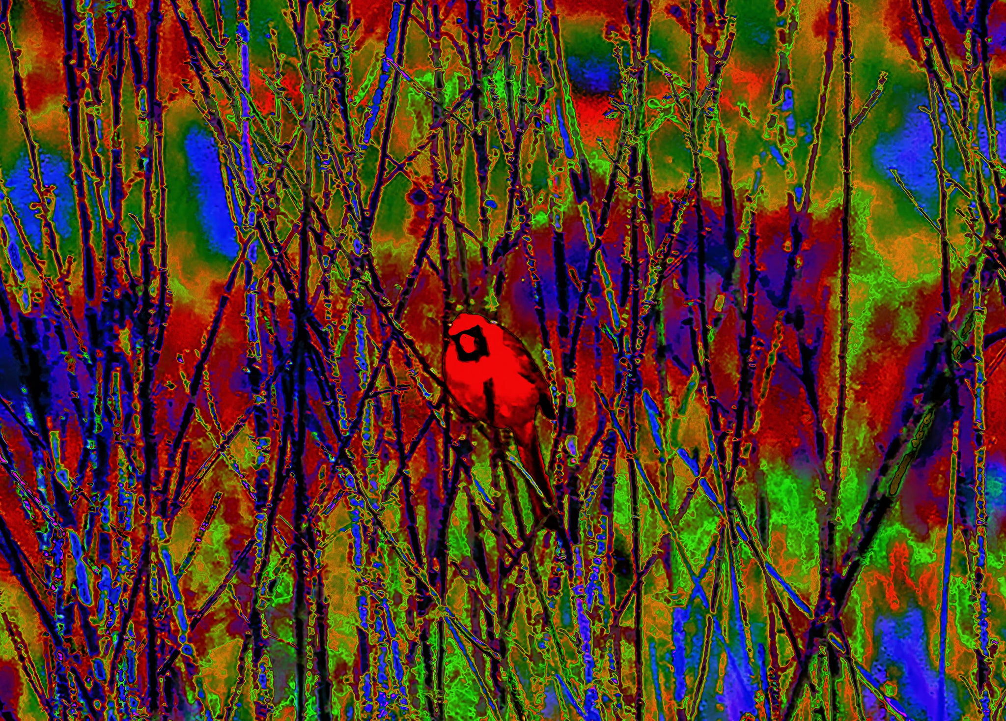 Cardinal in the Thicket — Color-Pop Bird Wall Art