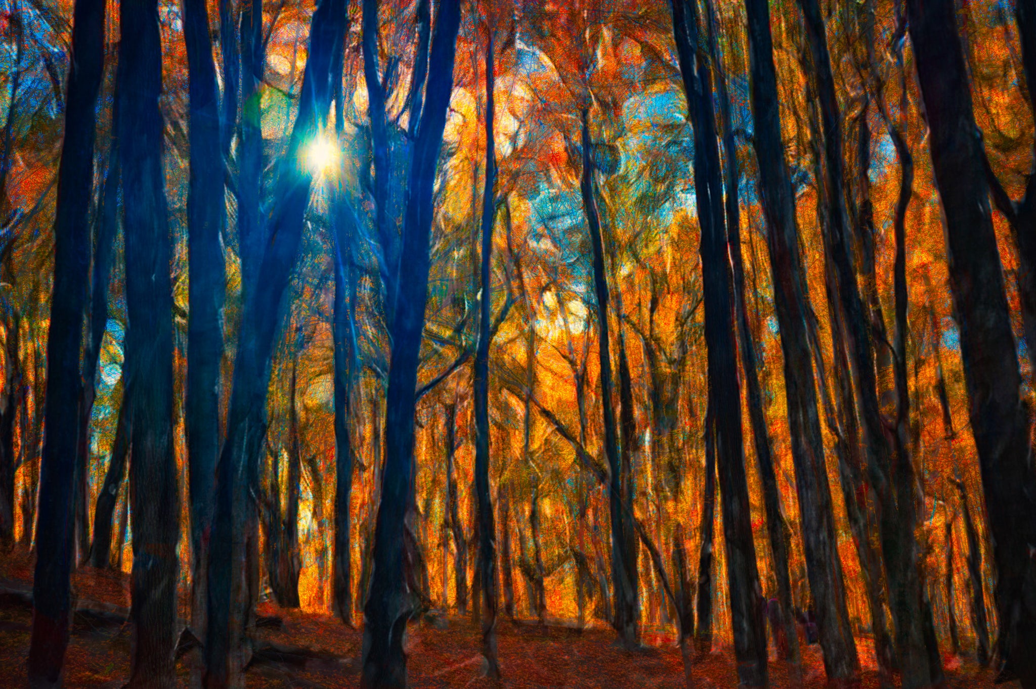 Kettle Moraine Autumn