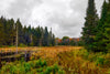 Namakagon flowage and meadow in Autumn, Wisconsin