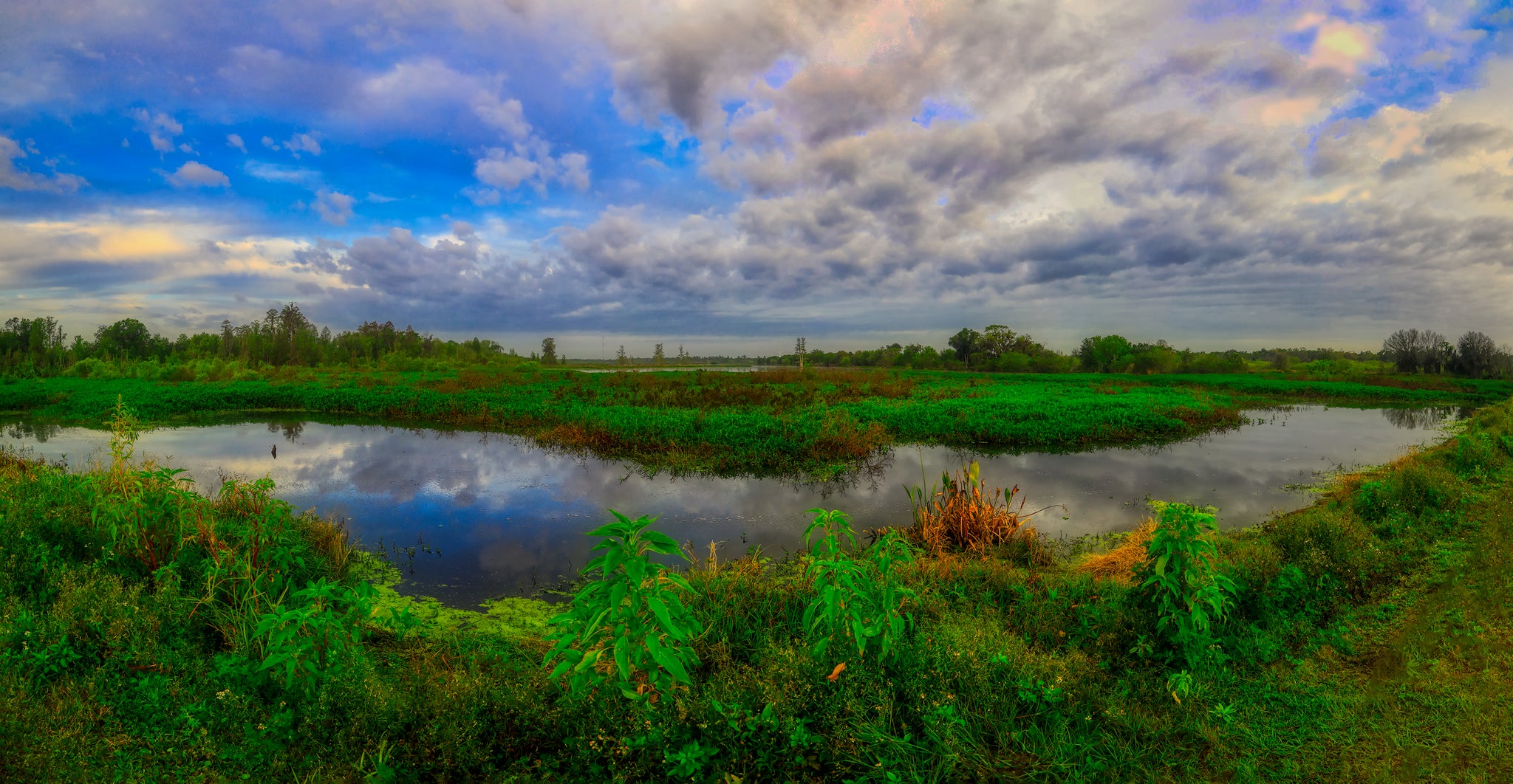 Florida Sunrise, Circle B Reserve