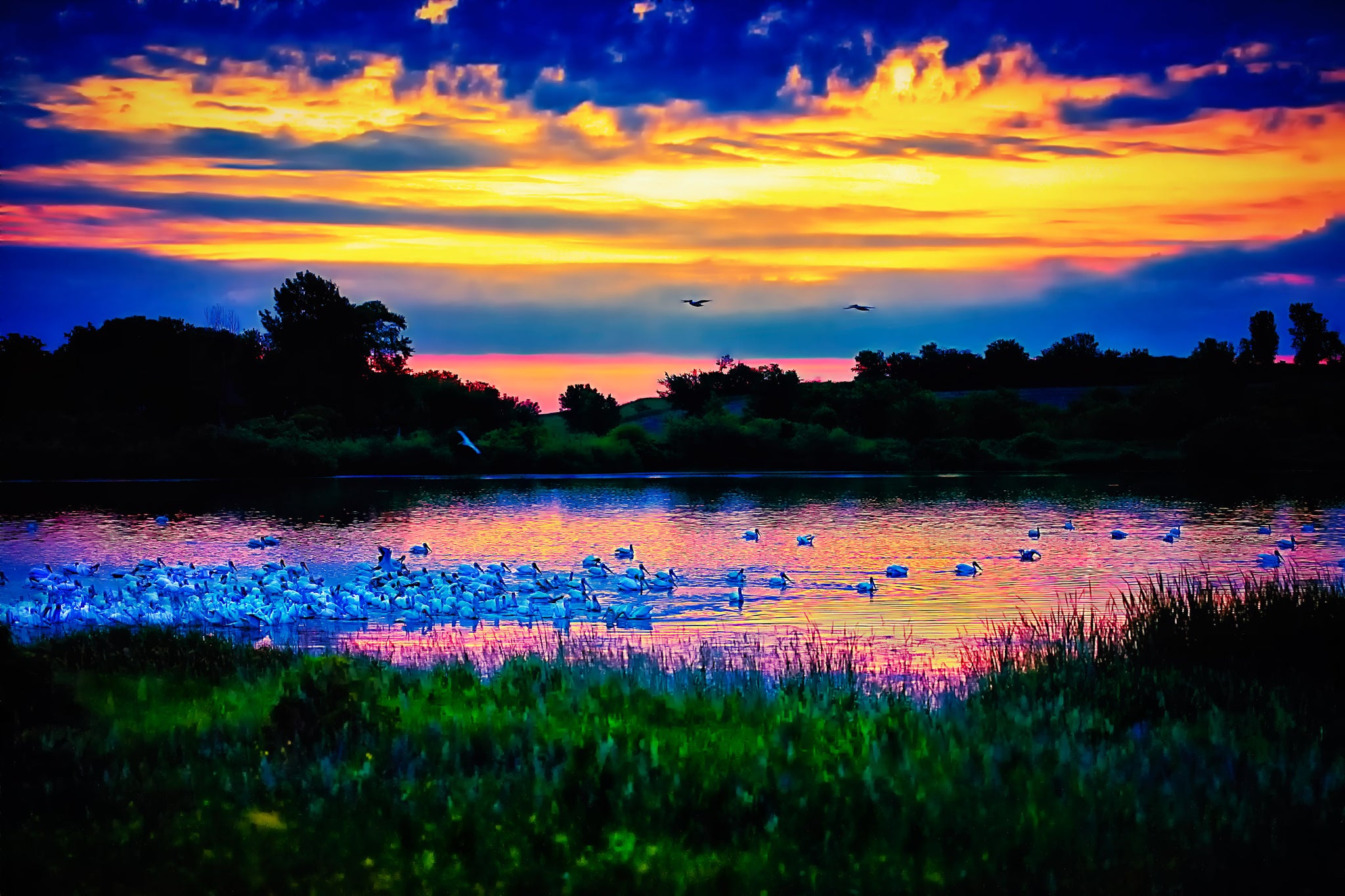 Daybreak Over Patrick Marsh – Pelicans at Sunrise, Sun Prairie
