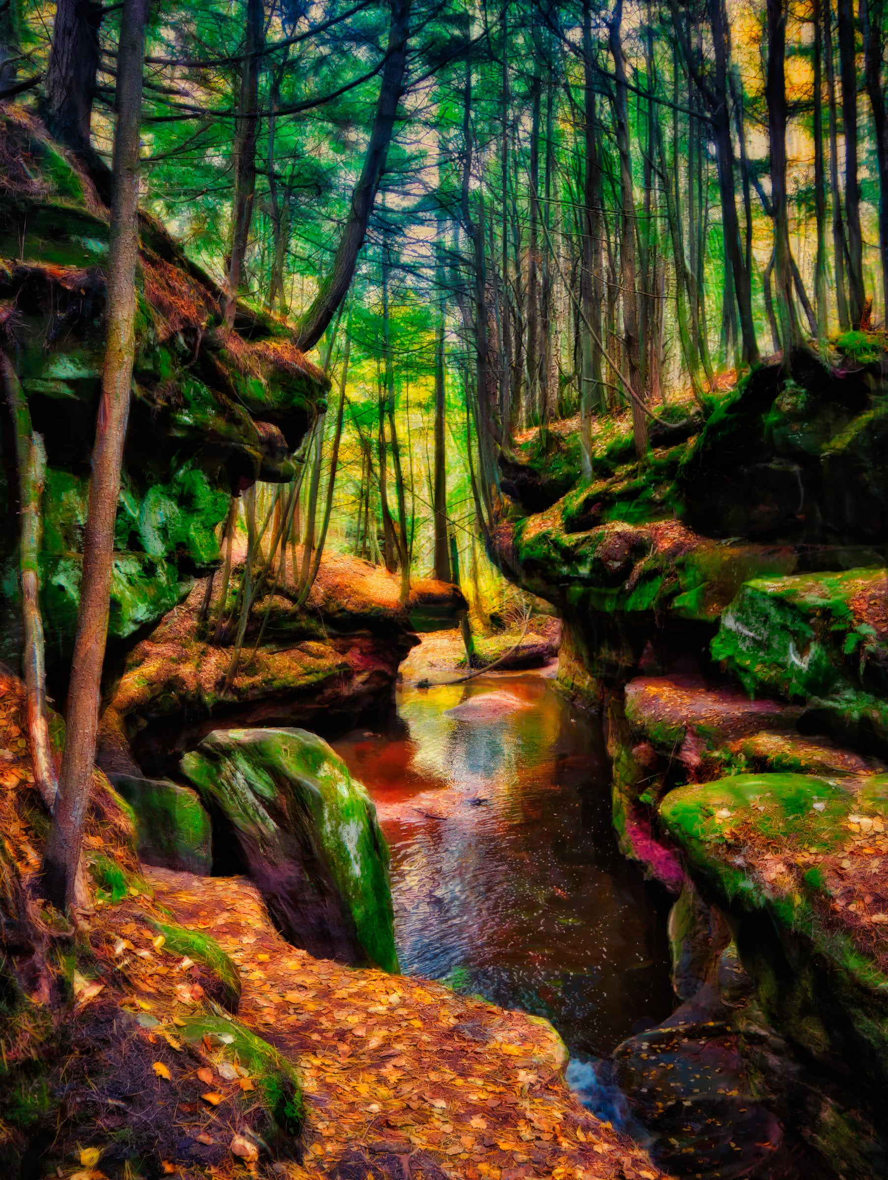 Flowerfall 風景画 Andrews Rive Superior Falls Sanctuary – Vibrant Forest Creek & Waterfall Wall