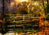 Wooden Bridge and Reflections in Autumn. Rural Wisconsin