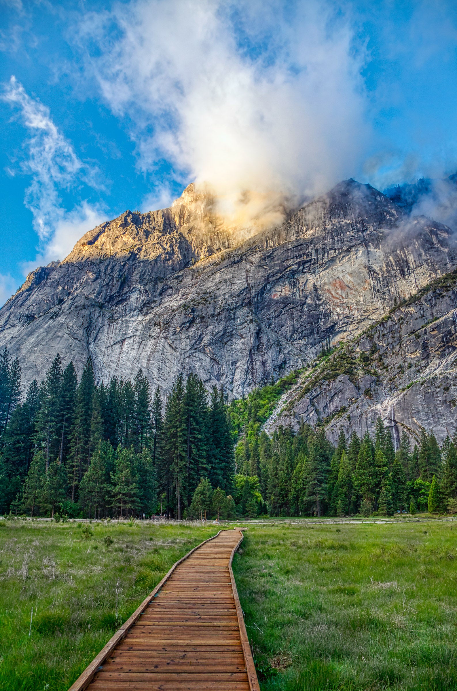 Yosemite Valley Morning Path — Sunrise Mountain & Meadow
