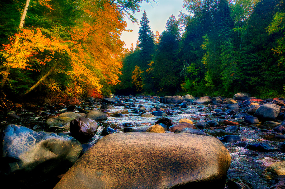 Hun Cascade Autumn River Wall Art — Painterly Forest Stream Landscape – Bob Hundt ...