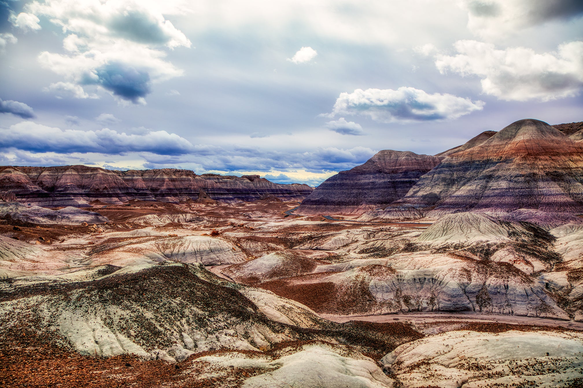 Petrified Forest National Park 2, Arizona