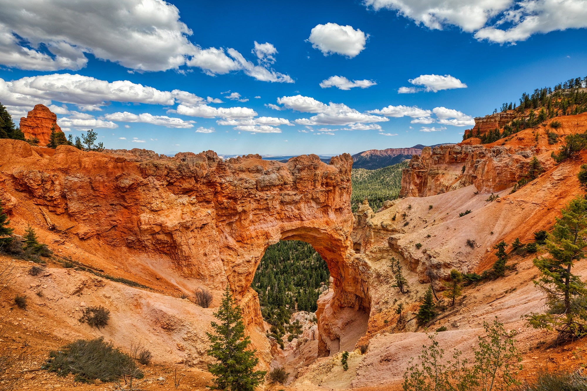Canyon Arch - Bryce Canyon National Park, Utah Photograph Bob Hundt Photography 