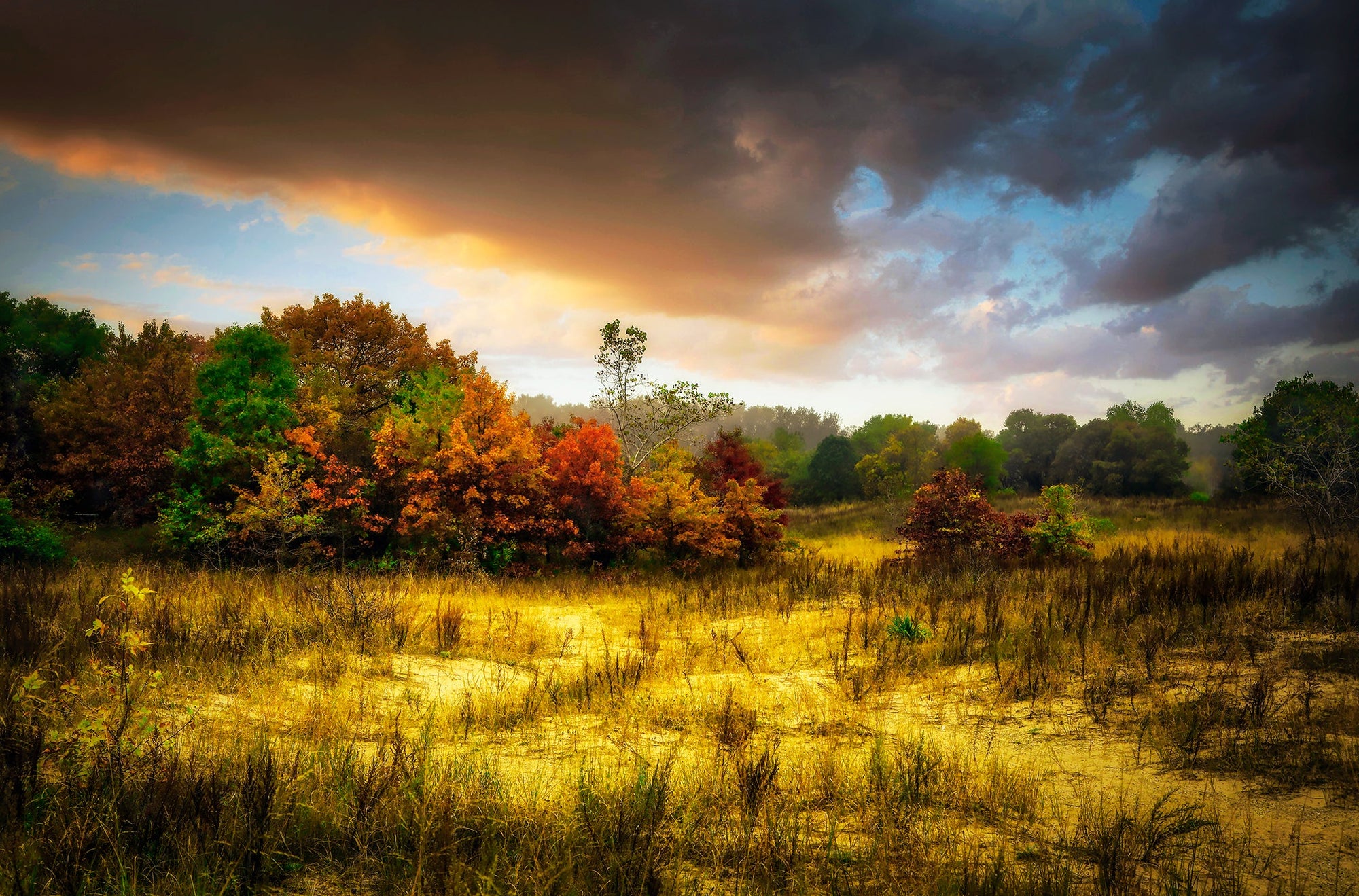 Chiwaukee Prairie State Natural Area Carol Beach, Kenosha Wisconsin Photograph Bob Hundt Photography 