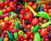 Fresh Peppers and Tomatoes Photograph Bob Hundt Photography 