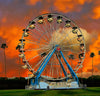 Giant Ferris Wheel - Indio California - Phish Phest 8 Photograph Bob Hundt Photography 
