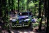 Pictured Rocks - This Old Car - Munising Michigan Photograph Bob Hundt Photography 