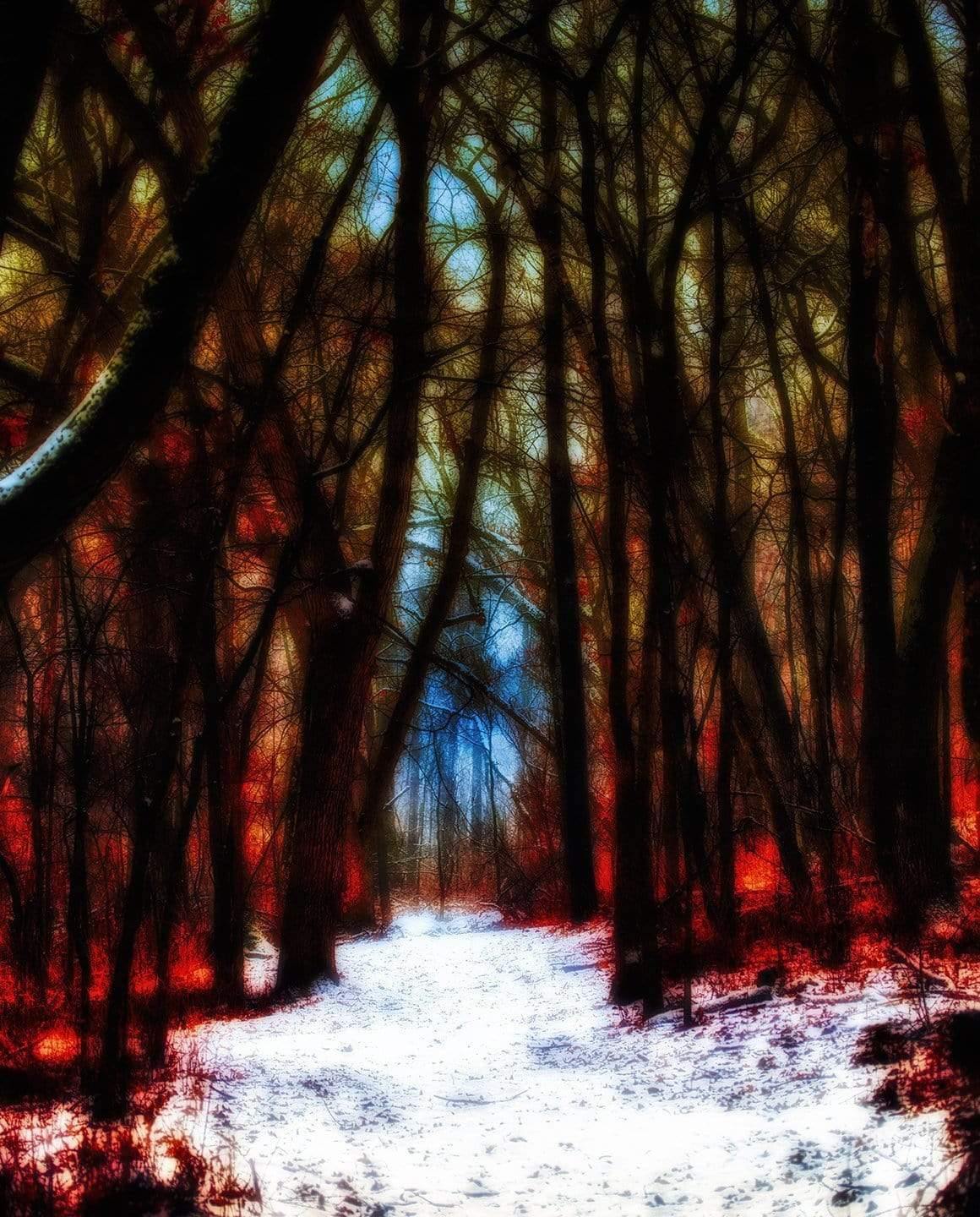 Shadowland - Winter hiking in northern Wisconsin Photograph Bob Hundt Photography 