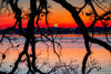 Sunrise Picnic Point, Madison Wisconsin Photograph Bob Hundt Photography 
