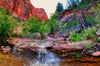 Taylor Creek Trail with waterfall 2, Zion National Park Photograph Bob Hundt Photography 